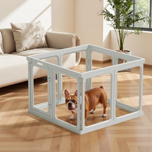 Gardner Pet Acryl Welpenauslauf, 60 cm 8 Panels hundelaufstall für Wohnung, Welpenlaufstall faltbar, Transparent, mit Saugnäpfen Laufstall Hund, geeignet für Welpen, Kaninchen, Katzen, Schweine, Grau Gardner Pet Acryl Welpenauslauf, 60 cm 8 Panels hundelaufstall für Wohnung, Welpenlaufstall faltbar, Transparent, mit Saugnäpfen Laufstall Hund, geeignet für Welpen, Kaninchen, Katzen, Schweine, Grau von Gardner Pet