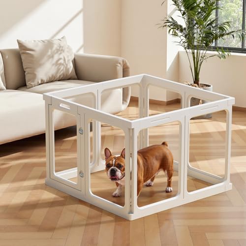 Gardner Pet Acryl Welpenauslauf, 60 cm 8 Panels hundelaufstall für Wohnung, Welpenlaufstall faltbar, Transparent, mit Saugnäpfen Laufstall Hund, geeignet für Welpen, Kaninchen, Katzen, Schweine, Weiß Gardner Pet Acryl Welpenauslauf, 60 cm 8 Panels hundelaufstall für Wohnung, Welpenlaufstall faltbar, Transparent, mit Saugnäpfen Laufstall Hund, geeignet für Welpen, Kaninchen, Katzen, Schweine, Weiß von Gardner Pet
