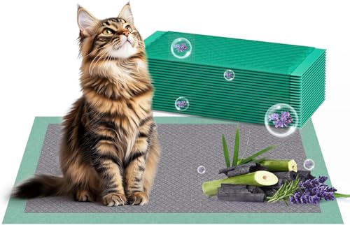 Gardner Pet Katzenstreu-Pads 43 x 29 cm, 40 Stück auslaufsicher Kätzchen-Trainingspads, Katzentoilette, Urinier-Pads mit super saugfähiger Oberfläche und Aktivkohle für Haustiere, Lavendelduft Gardner Pet Katzenstreu-Pads 43 x 29 cm, 40 Stück auslaufsicher Kätzchen-Trainingspads, Katzentoilette, Urinier-Pads mit super saugfähiger Oberfläche und Aktivkohle für Haustiere, Lavendelduft von Gardner Pet