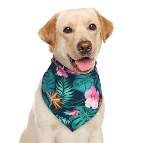 Garlaibi Hawaii Hawaii Blume Blatt Hund Katze Bandana Schal Dreieck Lätzchen Haustier Zubehör Halstuch 70 x 46 cm White Polyester 1 Stück Garlaibi Hawaii Hawaii Blume Blatt Hund Katze Bandana Schal Dreieck Lätzchen Haustier Zubehör Halstuch 70 x 46 cm White Polyester 1 Stück von Garlaibi