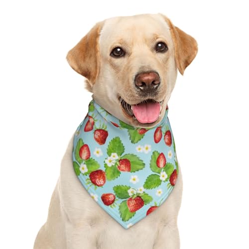 Hundehalstuch, Dreieckstuch mit Gänseblümchen-Motiv, Hunde-Zubehör, Erdbeerblau von Garlaibi