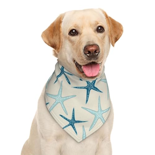 Hundehalstuch, Dreieckstuch mit Seestern, Strand, Küste, Meer, Strand, Strand, Strand, Strand, Strand, Strand, Strand, Strand, Strand, Strand, Strand, Strand, Strand, Strand, Strand, Strand, Strand, Hundehalstuch, Dreieckstuch mit Seestern, Strand, Küste, Meer, Strand, Strand, Strand, Strand, Strand, Strand, Strand, Strand, Strand, Strand, Strand, Strand, Strand, Strand, Strand, Strand, Strand, von Garlaibi
