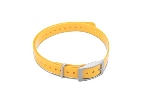 Garmin Square Buckle Collar Strap Yellow, 010-11870-04 (Yellow) von Garmin