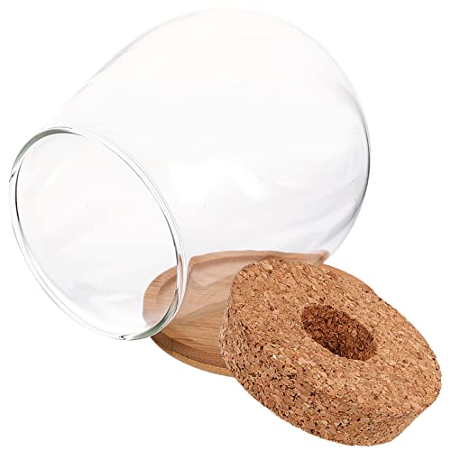 Garneck 1 Satz Hydroponische Glasvase Aquarienpflanzen Anlage Drinnen Dekorbehälter Landschaft Flasche Moos Ökologische Flasche Transparente Flasche Pflanzen Flasche Tischschmuck Bambus von Garneck
