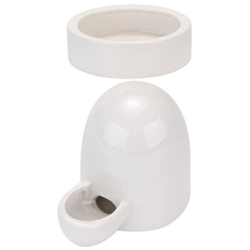 Garneck 1 Satz Rutin-huhntrinker Hähnchen Futternapf Wasserspender Für Hühner Futterbehälter Automatischer Hühnerfutterautomat Geflügelfutter Vogelfütterer Hühnerzubehör Keramik Weiß Garneck 1 Satz Rutin-huhntrinker Hähnchen Futternapf Wasserspender Für Hühner Futterbehälter Automatischer Hühnerfutterautomat Geflügelfutter Vogelfütterer Hühnerzubehör Keramik Weiß von Garneck