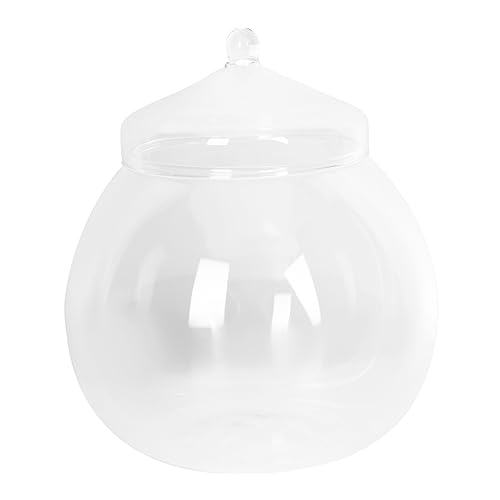 Garneck 1 Satz Terrarium Behälter mit Deckel DIY Mikrolandschaft Flasche für Moospflanzen Transparentes Design für Kreative Dekoration Schlafzimmer Wohnzimmer Büro und Zufälliger Garneck 1 Satz Terrarium Behälter mit Deckel DIY Mikrolandschaft Flasche für Moospflanzen Transparentes Design für Kreative Dekoration Schlafzimmer Wohnzimmer Büro und Zufälliger von Garneck