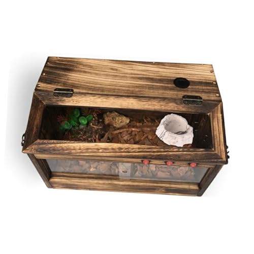 Garneck 1 Stück Futterteller für Haustiere Reptile Feeding Bowl Pet Feeding Plate Zubehör für Geckos mit Haube Vivarium Futter Wassernapf kreative Haustierschüssel Schale aus Harz Grey von Garneck