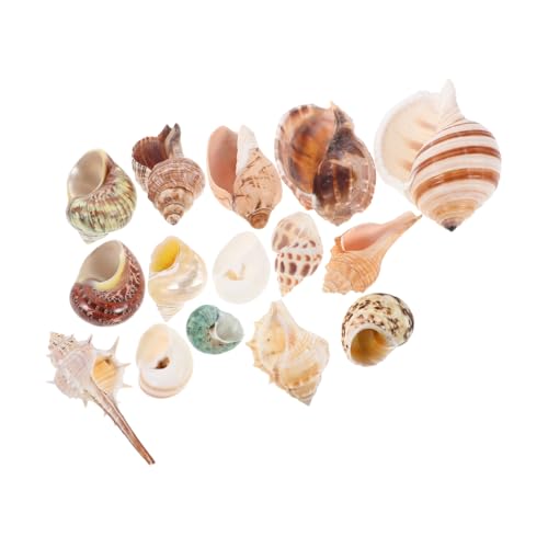 Garneck 15 Stück Teiliges Bunter Muscheln für Aquarien Natürliche Schneckenhäuser als Dekoration für Fischbecken und Bastelprojekte für Tropisches Strand Langlebige und Faderesistente Garneck 15 Stück Teiliges Bunter Muscheln für Aquarien Natürliche Schneckenhäuser als Dekoration für Fischbecken und Bastelprojekte für Tropisches Strand Langlebige und Faderesistente von Garneck