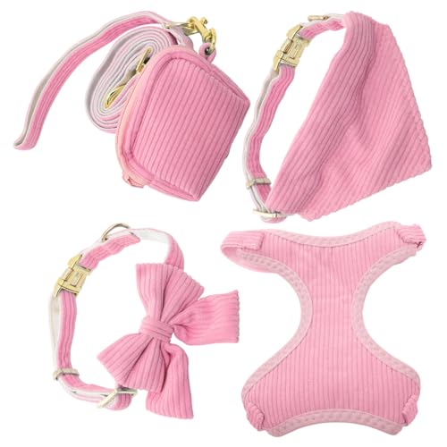Garneck 1Satz Hundegeschirr mit Leine Set Verstellbar und Atmungsaktiv Brustgeschirr für Kleine und Große Komfortables Leichtes Design für Sicheres Training und Garneck 1Satz Hundegeschirr mit Leine Set Verstellbar und Atmungsaktiv Brustgeschirr für Kleine und Große Komfortables Leichtes Design für Sicheres Training und von Garneck
