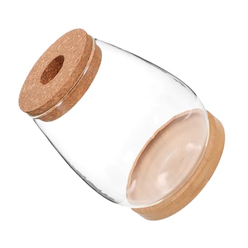 Garneck Glasterrarium Für Pflanzen Kleines Ökosystem-Terrarium Mit Deckel Glasgefäß Für Hydrokulturpflanzen Terrarienglasbehälter Als Dekoration Für Tischplatten Und Fensterbänke Garneck Glasterrarium Für Pflanzen Kleines Ökosystem-Terrarium Mit Deckel Glasgefäß Für Hydrokulturpflanzen Terrarienglasbehälter Als Dekoration Für Tischplatten Und Fensterbänke von Garneck