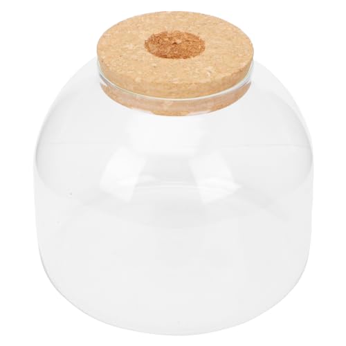 Garneck 1Satz Ökologische Glasflasche Für DIY Pflanzen Terrarium Dekorative Glaskanister Für Landschaften Holzverschluss Für Sukkulenten Und Bürozubehör von Garneck