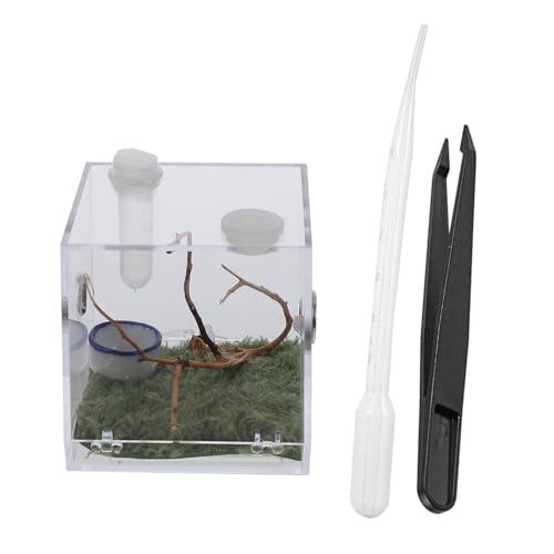 Garneck 1Satz Zuchtbox für Springspinnen Leichtes Tragbares Terrarium für Kleine Insekten und Reptilien zu Montieren für Außenbereich und Desktop Dekoration Hochtransparente von Garneck