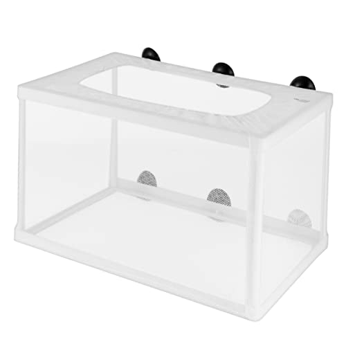 Garneck 2 Stück Großes Aufzuchtbecken für Fische Isolation Netz mit Saugnäpfen für Aquarien Langlebiges Material für Effektive Fischzucht Erhöht Überlebensrate von Jungfischen Garneck 2 Stück Großes Aufzuchtbecken für Fische Isolation Netz mit Saugnäpfen für Aquarien Langlebiges Material für Effektive Fischzucht Erhöht Überlebensrate von Jungfischen von Garneck
