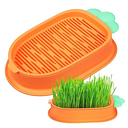 Garneck 2 Stück Katzengras Hydrokultur Box Sprout Pet Click Niedlicher Katzengras Pflanzbehälter Katzen Kreative Katzenpflanze Züchten Karotten Katzengras Kit Katzenminze Katzengras Garneck 2 Stück Katzengras Hydrokultur Box Sprout Pet Click Niedlicher Katzengras Pflanzbehälter Katzen Kreative Katzenpflanze Züchten Karotten Katzengras Kit Katzenminze Katzengras von Garneck