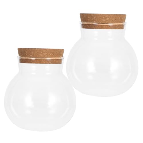 Garneck 2 Stück Kleine Terrarien für Desktop Pflanzenvermehrung Transparente für Innenräume und Stilvolle Tischdekoration Garneck 2 Stück Kleine Terrarien für Desktop Pflanzenvermehrung Transparente für Innenräume und Stilvolle Tischdekoration von Garneck