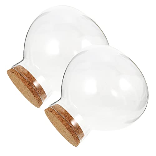 Garneck 2 Stück Transparente Landschaftsflaschen mit Korkverschluss Runde Ökologische DIY Flaschen für Desktop Deko Home Supplies Moos Flaschen für Wohnzimmer Büro Cafe Garneck 2 Stück Transparente Landschaftsflaschen mit Korkverschluss Runde Ökologische DIY Flaschen für Desktop Deko Home Supplies Moos Flaschen für Wohnzimmer Büro Cafe von Garneck