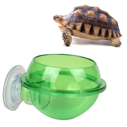 Garneck 2 Stück Wassernapf für Reptilien Saugnapf Trinknapf Reptilien wasserschale Gecko Wassernapf klein schleichtiere Trinkwerkzeug für Reptilien Futternapf für Reptilien Green von Garneck