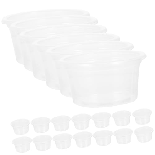 Garneck 20Stücke Teiliges Wiederverwendbare Transparente Reptilien Futter und Wasserschalen für Eidechsen Geckos und Andere Reptilien für Täglichen Gebrauch Reinigen Garneck 20Stücke Teiliges Wiederverwendbare Transparente Reptilien Futter und Wasserschalen für Eidechsen Geckos und Andere Reptilien für Täglichen Gebrauch Reinigen von Garneck