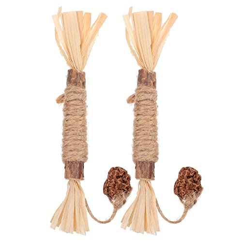 Garneck 2Stücke Silvervine Sticks Für Katzen Naturbelassene Kauspielzeuge Zur Zahnpflege Und Stressreduktion Attraktives Katzenspielzeug Für Gesunde Katzen von Garneck