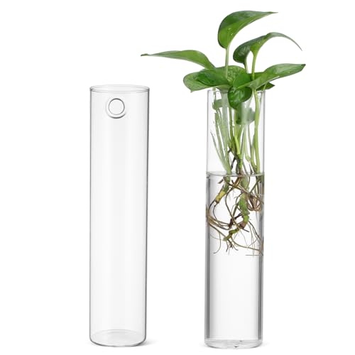 Garneck 2Stücke Wandbehangvase Transparente Hängende Anzuchtstationen Für Zimmerpflanzen Pflanzenterrarien Moderne Dekoration Für Garten von Garneck
