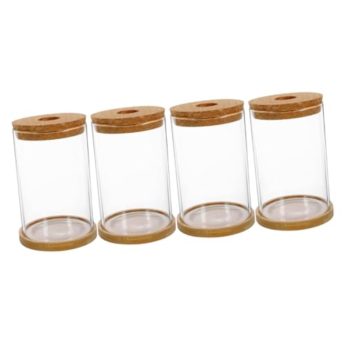 Garneck 4 Sätze Hydroponische Vase Blumenkübel Blumentöpfe Links Pflanzenterrarium Behälter Für Hydroponische Pflanzen Glasbehälter Für Terrarium Hydrokulturpflanzen Terrarium Bambus Garneck 4 Sätze Hydroponische Vase Blumenkübel Blumentöpfe Links Pflanzenterrarium Behälter Für Hydroponische Pflanzen Glasbehälter Für Terrarium Hydrokulturpflanzen Terrarium Bambus von Garneck