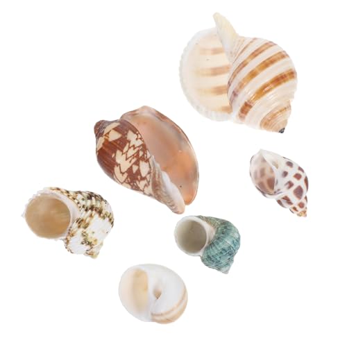Garneck 6 Stück Aquarium Conch Shells für Fischbehälter Landschaftsdekoration Unterwasser Gestaltungselemente für Kleine Garneck 6 Stück Aquarium Conch Shells für Fischbehälter Landschaftsdekoration Unterwasser Gestaltungselemente für Kleine von Garneck