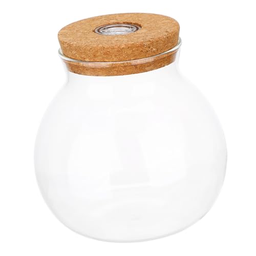 Garneck Aquarium Flasche mit LED Licht Hochborosilikatglas Terrarium Flasche für Mikrolandschaften Kreative DIY Landschaftsflasche mit Holzdeckel und Vielseitig Einsetzbar von Garneck