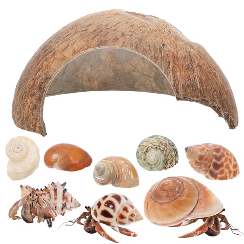 Garneck Einsiedlerkrebs-Muscheln: 1 Set Natürliche Kokosnussschalen-Hütte Einsiedlerkrebs-Lebensraum Versteck Reptilienversteck Krabbenschalen Versteck Höhle Muschelschale Hütte Muscheln Garneck Einsiedlerkrebs-Muscheln: 1 Set Natürliche Kokosnussschalen-Hütte Einsiedlerkrebs-Lebensraum Versteck Reptilienversteck Krabbenschalen Versteck Höhle Muschelschale Hütte Muscheln von Garneck
