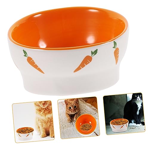 Garneck Erhöhte Katzenschale Aus Keramik Geneigt Ergonomisches Design Für Bequemes Fressen Stabiler Stand Für Katzen Und Kleine Zu Reinigen von Garneck