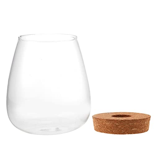 Garneck Flasche Fallen Lassen klare Vase Terrarienglas Indoor Plants zimmerpflanzen Indoor Garden glasbehälter House Plants pflanzentopf Mooslandschaft Terrarium hydroponische Flasche Holz von Garneck