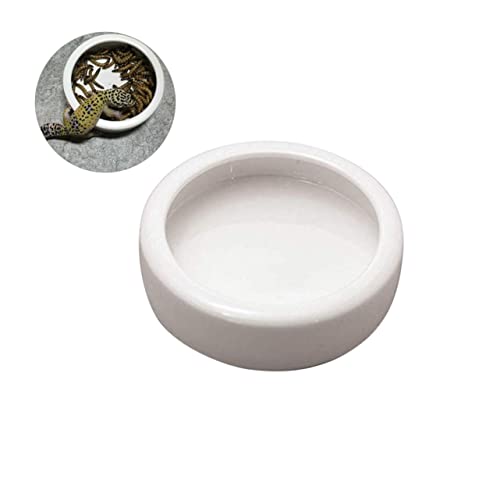 Garneck Futternapf Wassernapf Für Reptilien Zubehör Für Geckobecken Essen Futterspender Beweisschale Entkommen Bartagamen-Accessoire Futternäpfe Für Reptilien Schüsseln Hundenapf Weiß Garneck Futternapf Wassernapf Für Reptilien Zubehör Für Geckobecken Essen Futterspender Beweisschale Entkommen Bartagamen-Accessoire Futternäpfe Für Reptilien Schüsseln Hundenapf Weiß von Garneck