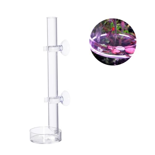 Garneck Garnelen Futterrohr mit Futterauflage Transparent Langlebig für Aquarien mit Kirschgarnelen und Zwerggarnelen Saugnäpfen zur Einfachen Garneck Garnelen Futterrohr mit Futterauflage Transparent Langlebig für Aquarien mit Kirschgarnelen und Zwerggarnelen Saugnäpfen zur Einfachen von Garneck