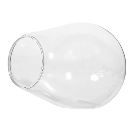 Garneck Glasflasche Terrarium Transparent DIY Ökologische Flasche Glas Pflanzgefäß Kreative Für Mikro landschaften Zimmerdeko Freund von Garneck