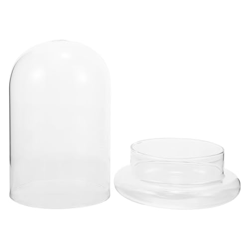 Garneck Glaskuppel-Cloche Mit Deckel Runde Glasglocke Vitrine DIY-Schneekugeln Für Pflanzen Terrarium Sammlerstücke Kerzen-Kuchen-Display 22 cm von Garneck