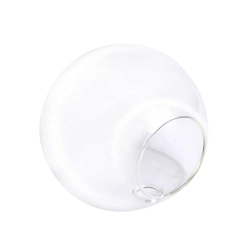 Garneck Hängende Glasvase Halbkreis Dekorativer Wand blumentopf für Sukkulenten Luftpflanzen Terrarium Wohnzimmer Büro Dekoration Garneck Hängende Glasvase Halbkreis Dekorativer Wand blumentopf für Sukkulenten Luftpflanzen Terrarium Wohnzimmer Büro Dekoration von Garneck