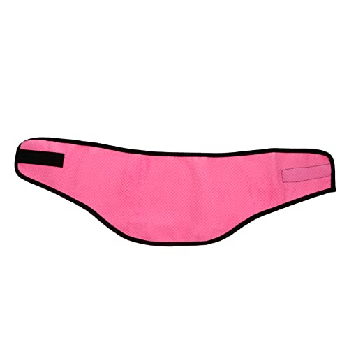 Garneck Kühlendes Handtuch Für Hunde Schal Für Sommer Eisschal Für Haustiere Kühlendes Halsband Für Outdoor-spaziergänge Lauftraining von Garneck