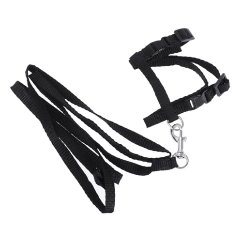 Garneck Katzengeschirr keilriemen Haustierzubehör Haustierbedarf Katzenhalsband Leine Black Garneck Katzengeschirr keilriemen Haustierzubehör Haustierbedarf Katzenhalsband Leine Black von Garneck