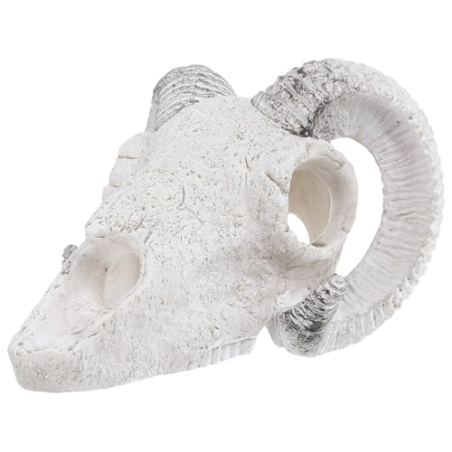 Garneck Künstliche Schädel Dekoration für Aquarien Resin für Betta Fische und Reptilien als Versteck und Dekoratives Element Terrarien und Aquarien von Garneck