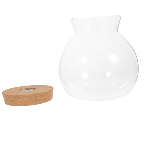 Garneck LED Glasflasche mit LED Licht Kreatives DIY Mikro Landschafts Ökosystem für Vielseitig als Aquarienbehälter oder Blumenvase Langlebiges Borosilikatglas Garneck LED Glasflasche mit LED Licht Kreatives DIY Mikro Landschafts Ökosystem für Vielseitig als Aquarienbehälter oder Blumenvase Langlebiges Borosilikatglas von Garneck