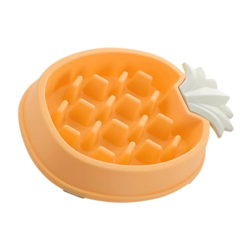 Garneck Pet Slow Feeder Schüssel für Katzen Futterspender rutschfest aus Wasserdichtem Material Fördert Langsames Fressen für Gesunde Essgewohnheiten von Garneck