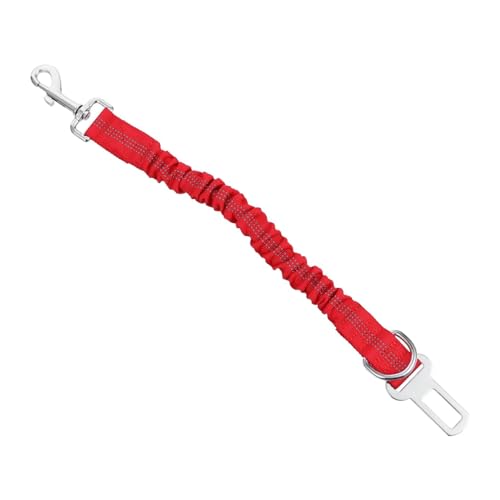 Garneck Reflektierende Hundeleine Elastisches Langlebiges Haustierzubehör für Sicheres Nachtspazieren und Training für Kleine bis Große Garneck Reflektierende Hundeleine Elastisches Langlebiges Haustierzubehör für Sicheres Nachtspazieren und Training für Kleine bis Große von Garneck