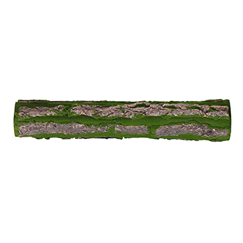 Garneck Reptilien Terrarium Dekoration Korkrinde Hintergrund Natürlicher Kletterplatz für Reptilien Einfache Installation und Pflege Zubehör für Terrarien Kreative Garneck Reptilien Terrarium Dekoration Korkrinde Hintergrund Natürlicher Kletterplatz für Reptilien Einfache Installation und Pflege Zubehör für Terrarien Kreative von Garneck