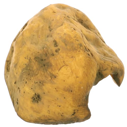 Garneck Reptilien Versteck aus Resin für Schildkröten Aquarien Dekoration Kreative Schildkrötenrampe für Terrarien und Reptilien Wie Schlangen Eidechsen und Frösche Garneck Reptilien Versteck aus Resin für Schildkröten Aquarien Dekoration Kreative Schildkrötenrampe für Terrarien und Reptilien Wie Schlangen Eidechsen und Frösche von Garneck