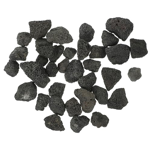 Garneck Schwarzer Lavastein für Aquarium-Dekoration, 500 g, Vulkangestein, 2–3 cm, ideal für Aquarien, Blumentöpfe und Diffusoren für ätherische Öle, natürliche Landschaftsgestaltung Garneck Schwarzer Lavastein für Aquarium-Dekoration, 500 g, Vulkangestein, 2–3 cm, ideal für Aquarien, Blumentöpfe und Diffusoren für ätherische Öle, natürliche Landschaftsgestaltung von Garneck