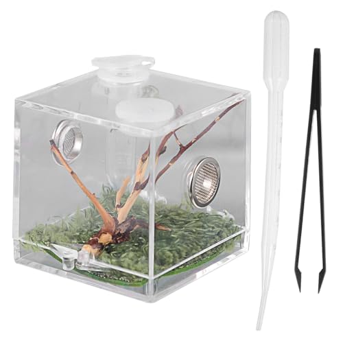 Garneck Springspinne Terrarium Set - Transparentes Acryl Terrarium Für Springspinnen - Insekten Und Reptilien Inklusive Fütterungszange Und Pipette Ideal Für Zucht Und Haltung von Garneck
