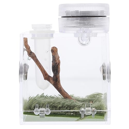 Garneck Springspinnen-zuchtbox Spinnenpanzer Springen Käfig Lampe Container Sprungspinnenmagnet Bausatz Spinnengehege Spinnenlebensraum Spinnen -Terrarium Springspinnen-Terrarium Acryl Garneck Springspinnen-zuchtbox Spinnenpanzer Springen Käfig Lampe Container Sprungspinnenmagnet Bausatz Spinnengehege Spinnenlebensraum Spinnen -Terrarium Springspinnen-Terrarium Acryl von Garneck