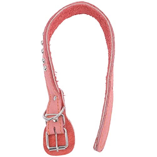 Garneck Stylischer Hundekragen Aus Weichem Material Verstellbar Für Welpen Und Katzen Für Fotoshootings Und Besondere Anlässe Langlebig Und Bequem von Garneck