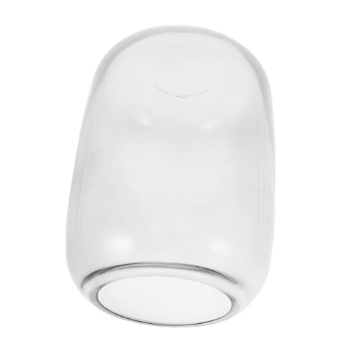 Garneck Terrarium Behälter für Pflanzen Hydroponische Vase für Innenräume Dekoration und Funktionaler Pflanzcontainer für Sukkulenten und Pflanzengärten von Garneck