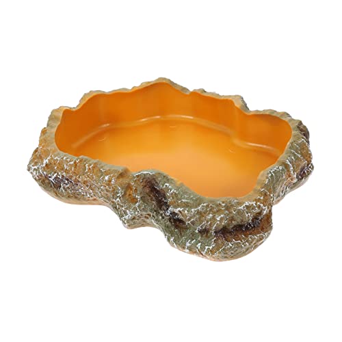 Garneck Terrarium Futterschale für Reptilien Wasserschale für Schildkröten und Eidechsen aus Robustem Harz Langlebig und Sicher Perfektes Fütterungszubehör zur Verbesserung Garneck Terrarium Futterschale für Reptilien Wasserschale für Schildkröten und Eidechsen aus Robustem Harz Langlebig und Sicher Perfektes Fütterungszubehör zur Verbesserung von Garneck