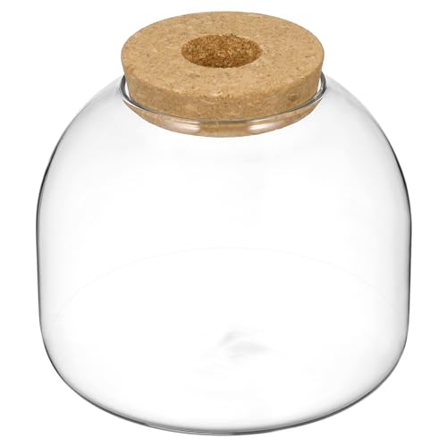 Garneck Terrarium mit Korkdeckel Micro Landschaftsbehälter für Hydroponik Pflanzen für Kreative Dekoration und DIY Projekte Transparentes Design für Klare Sicht Moos und Steine Garneck Terrarium mit Korkdeckel Micro Landschaftsbehälter für Hydroponik Pflanzen für Kreative Dekoration und DIY Projekte Transparentes Design für Klare Sicht Moos und Steine von Garneck